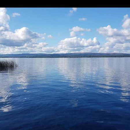 Stunning Log Cabin On The Lake Portroe المظهر الخارجي الصورة