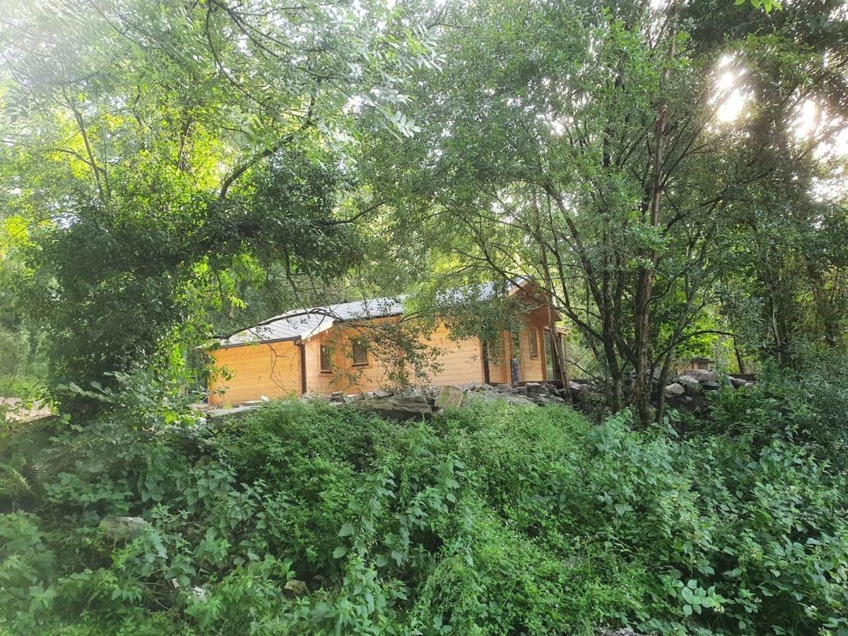 Stunning Log Cabin On The Lake Portroe المظهر الخارجي الصورة